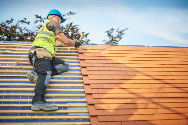 Best Rubber Roofing (EPDM, TPO)  in Sardinia, OH
